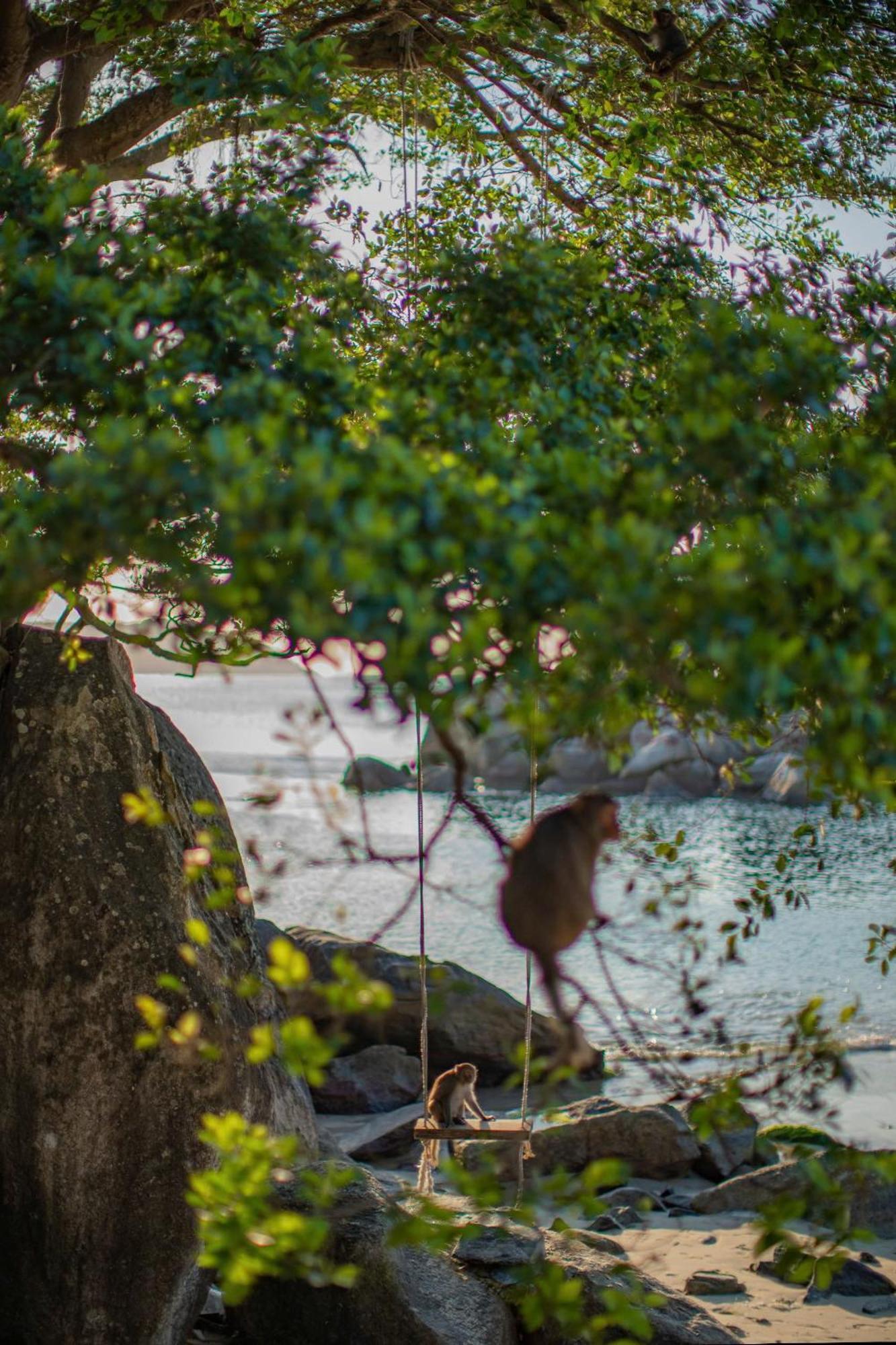 The Coral Homestay & Pub Tân Hiệ Eksteriør bilde